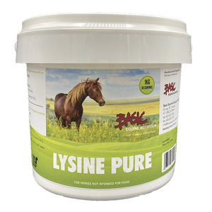 Basics Equine Nutrition Basic Lysine