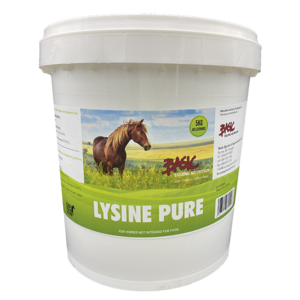 Basics Equine Nutrition Basic Lysine