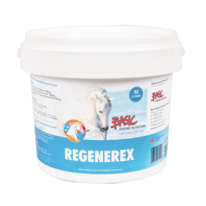 Basics Equine Nutrition Basic Regenerex Plus