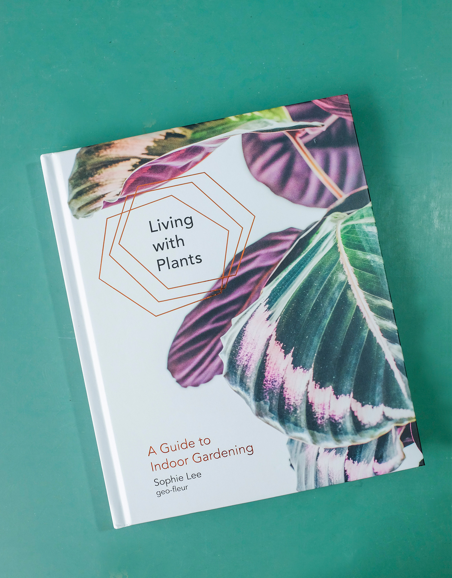 Book Living With Plants Plant