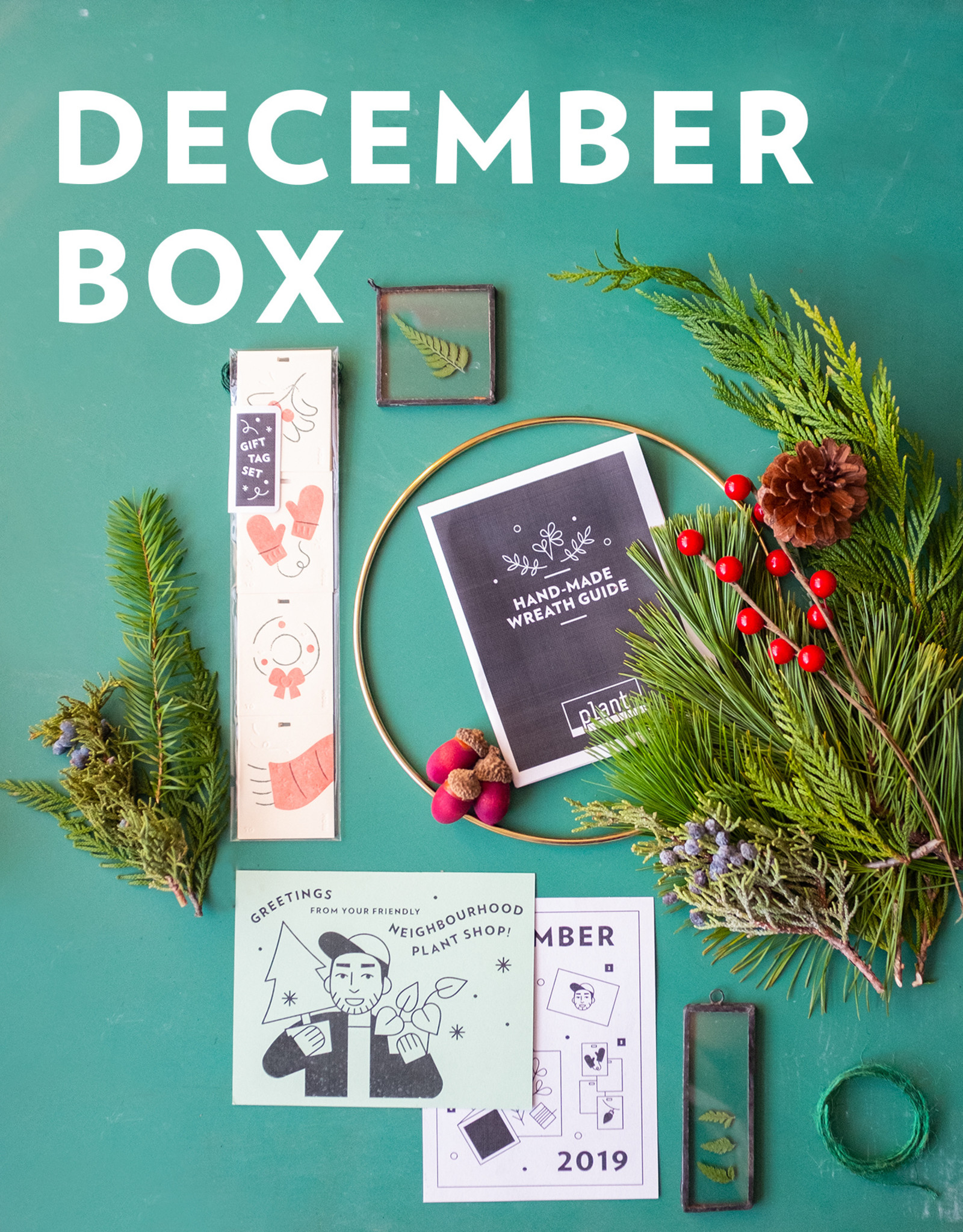 Plant’s Monthly Subscription Box Plant