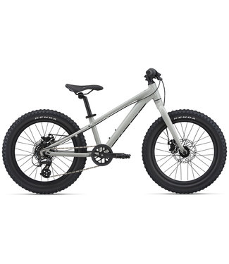 Giant STP 20