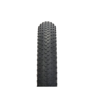 Specialized BIG ROLLER