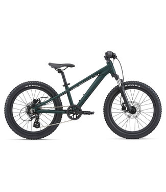 Giant STP 20 FS