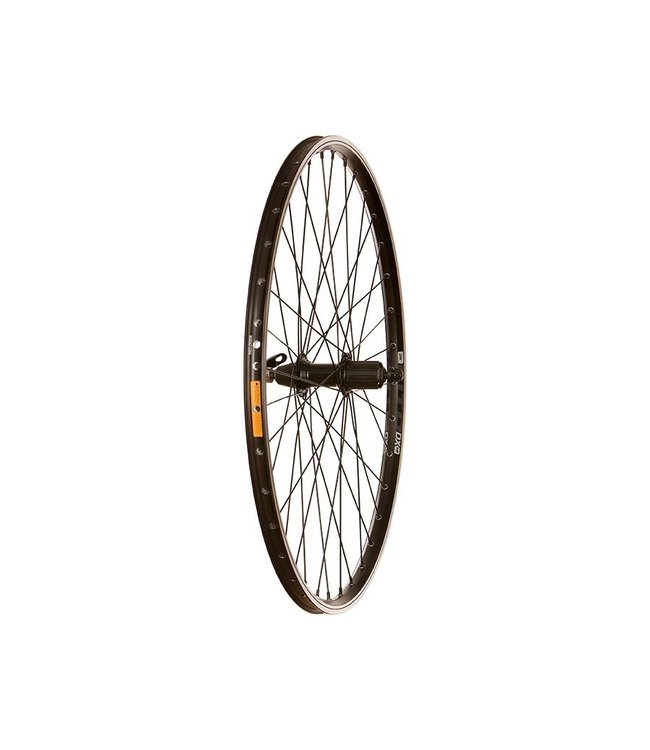 WTB DX18, Roue, Arrière, 26'' / 559, Trous: 36, QR, 135mm, Sur jante, Shimano HG