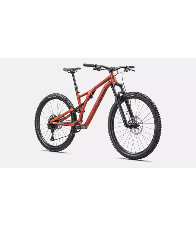 Specialized Stumpjumper Alloy