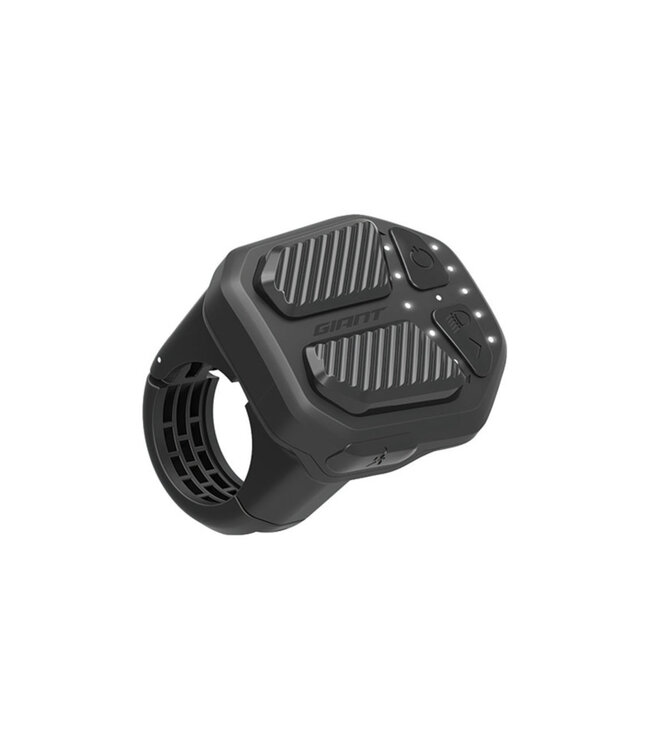 Giant Ridecontrol one ANT+