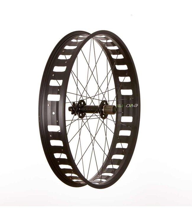 Roue Fat Bike  Arrière 26''