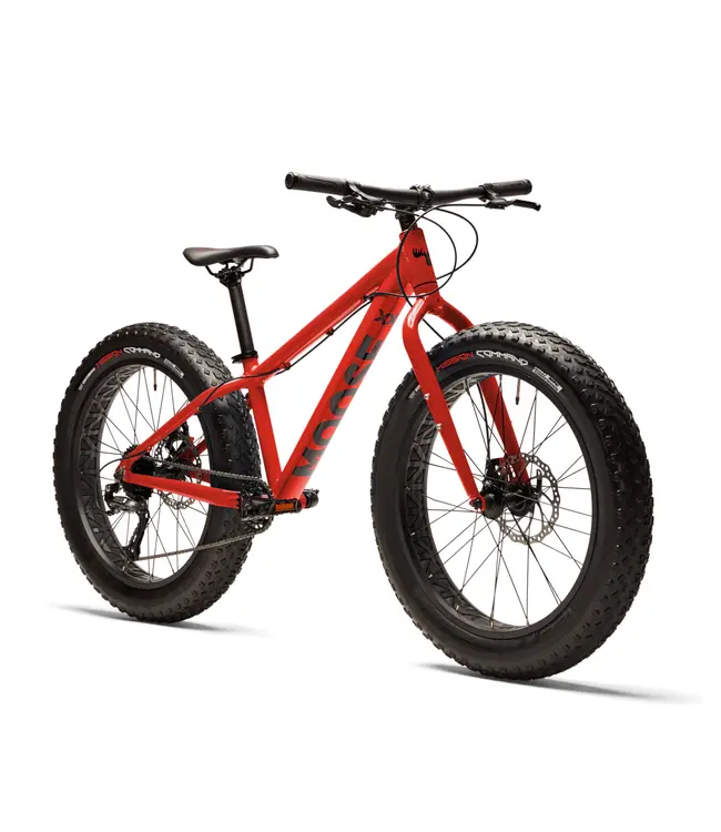 MOOSE Fat Bike 24