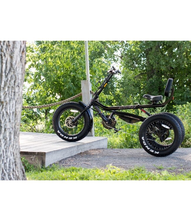 TRIVEL E-Fat Azteca Gris