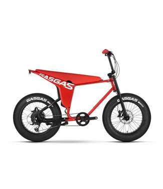 GASGAS Moto 1