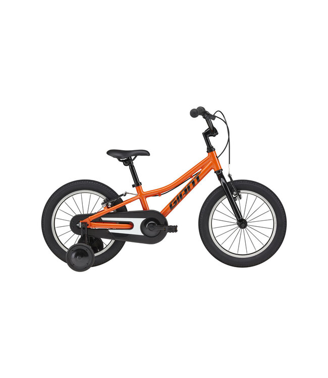 Giant Animator F/W 16''