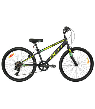 DCO Satellite Sport 24