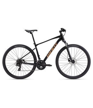 Giant Roam 4