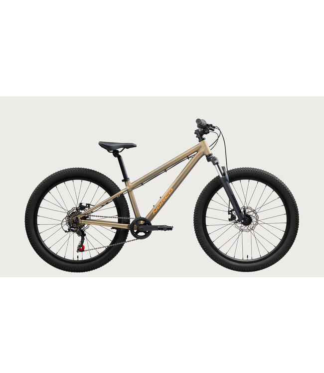 Norco Storm Youth 24