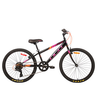 DCO Satellite Sport 24