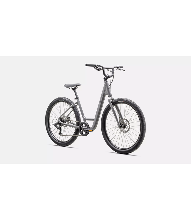 Specialized Roll 2.0 Low Entry