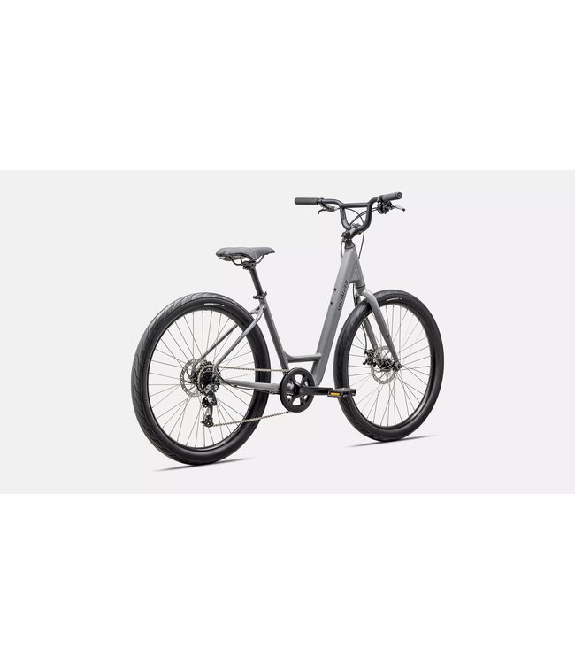 Specialized Roll 2.0 Low Entry