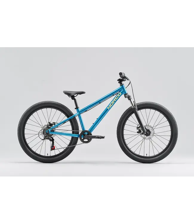 Norco Storm 24