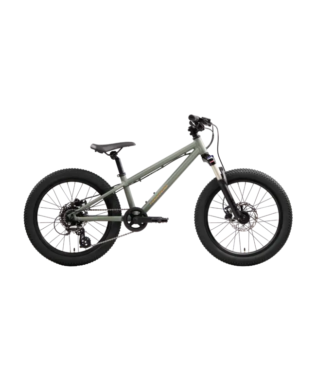 Norco Charger 20