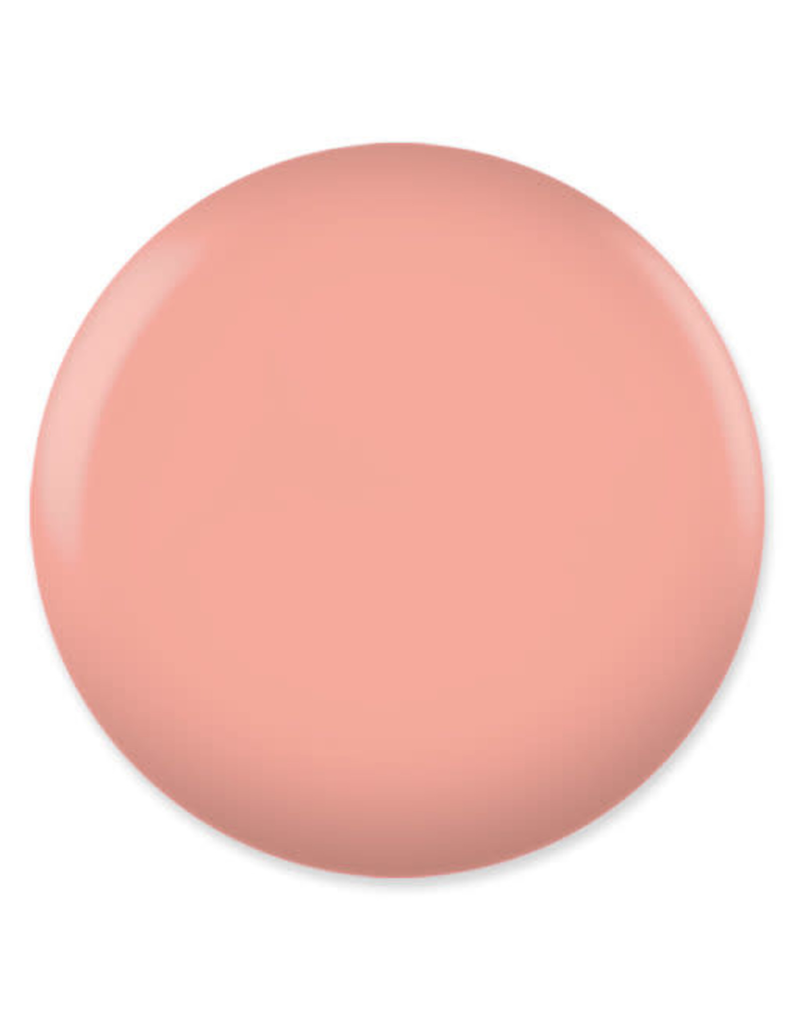 DND 619 Sweet Apricot