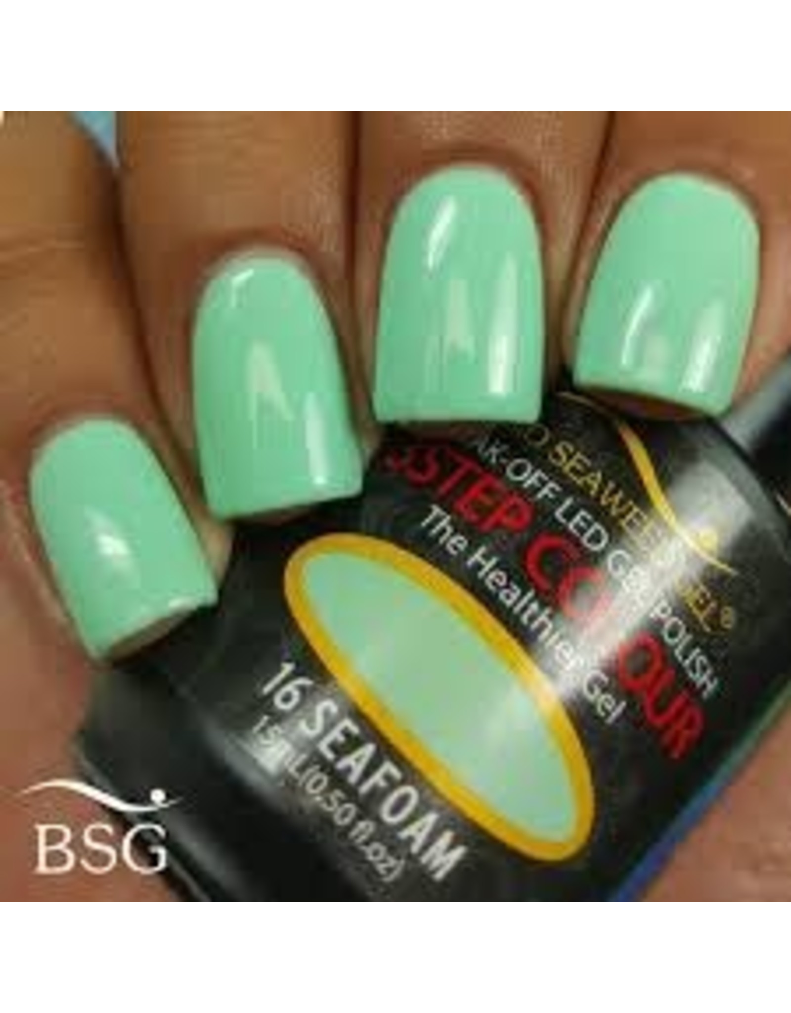BIOSEAWEED 016 Seafoam