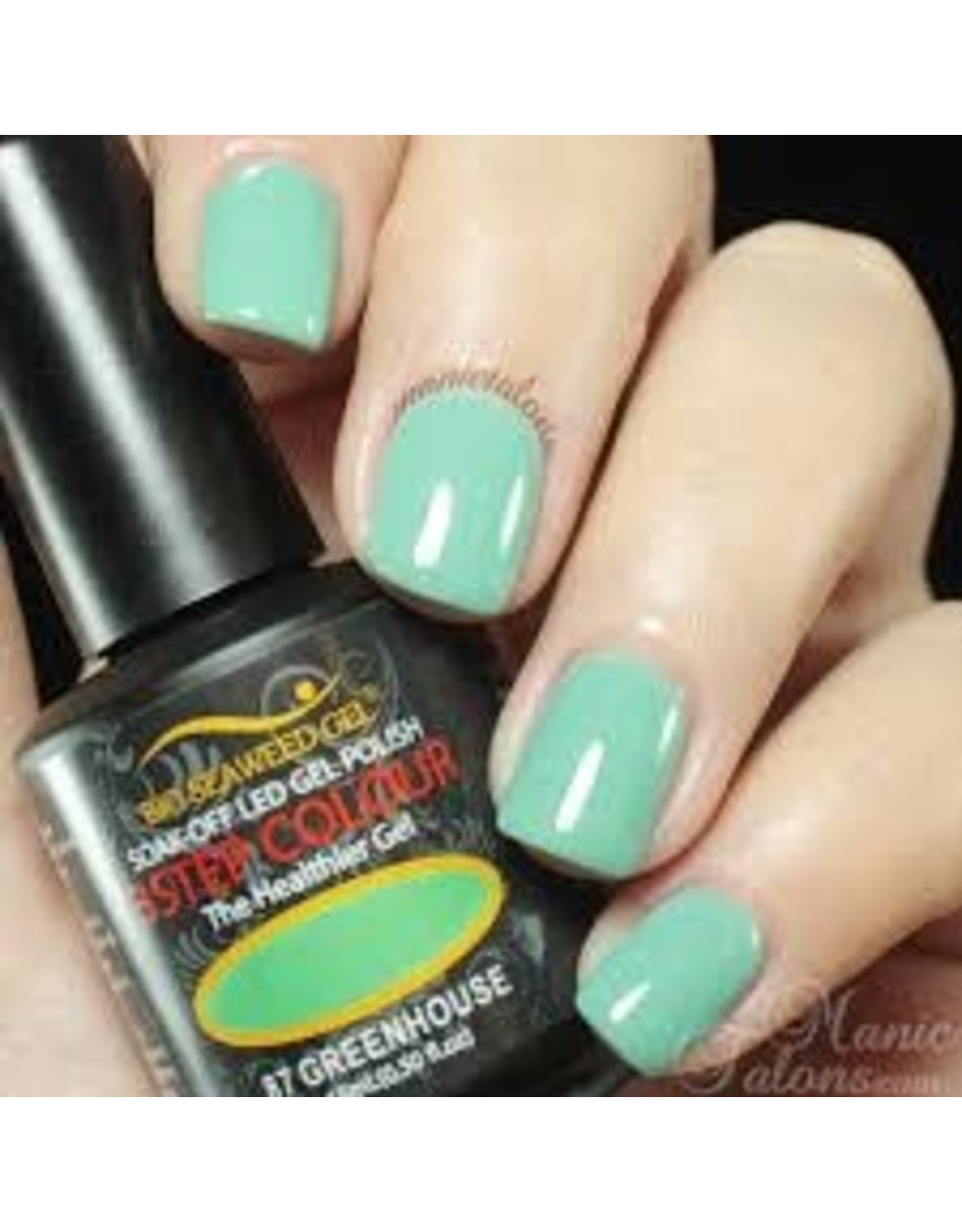 BIOSEAWEED 3STEP Colour Gel Polish 087 Greenhouse