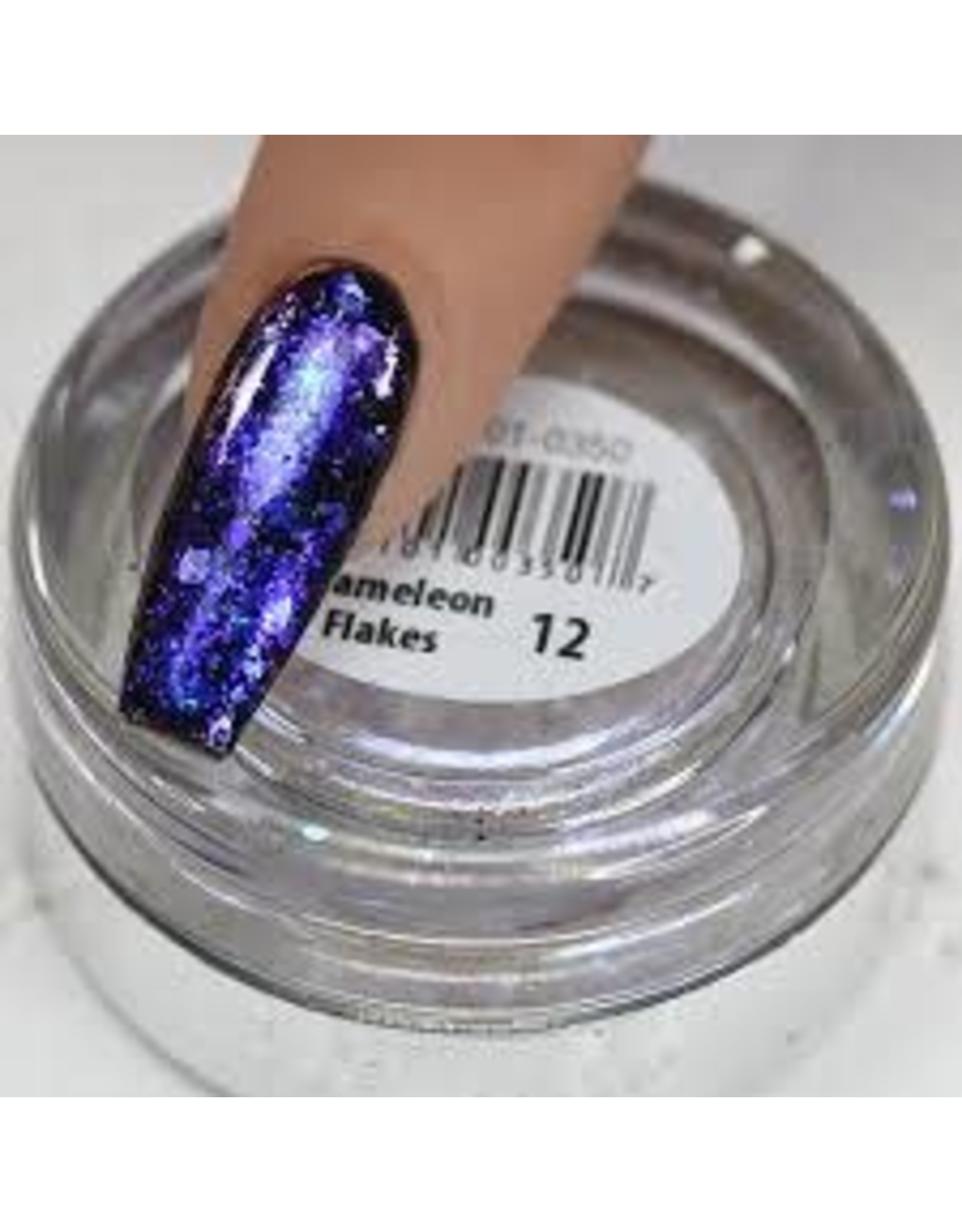 Chameleon Flakes Nail Art 12