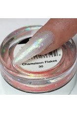 Chameleon Flakes Nail Art 30