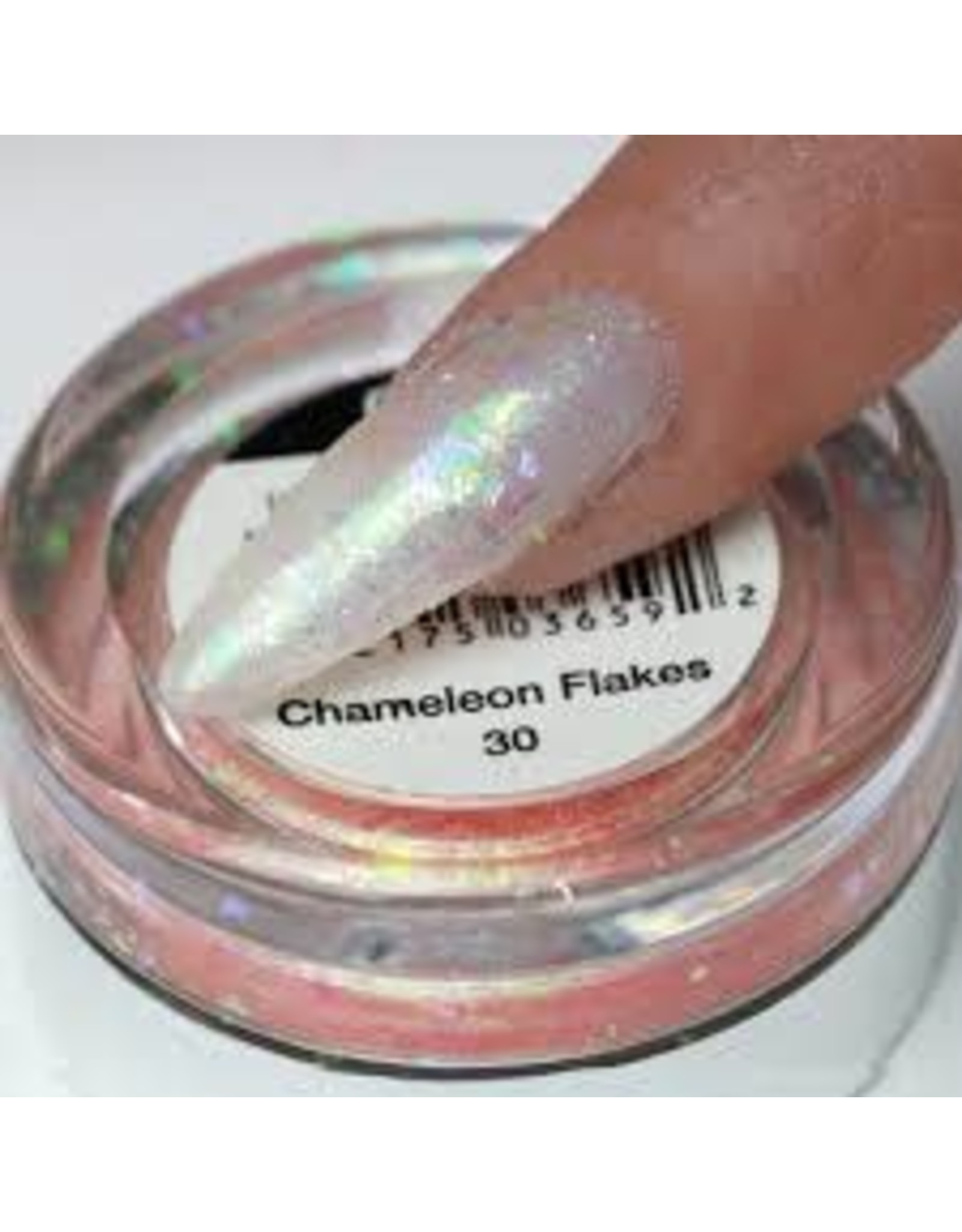 Chameleon Flakes Nail Art 30