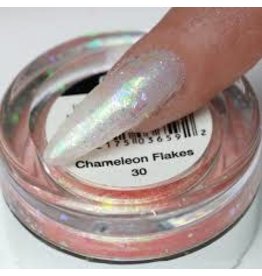 Chameleon Flakes Nail Art 30