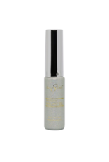 Nail Art Gel 25 Holographic Glitter