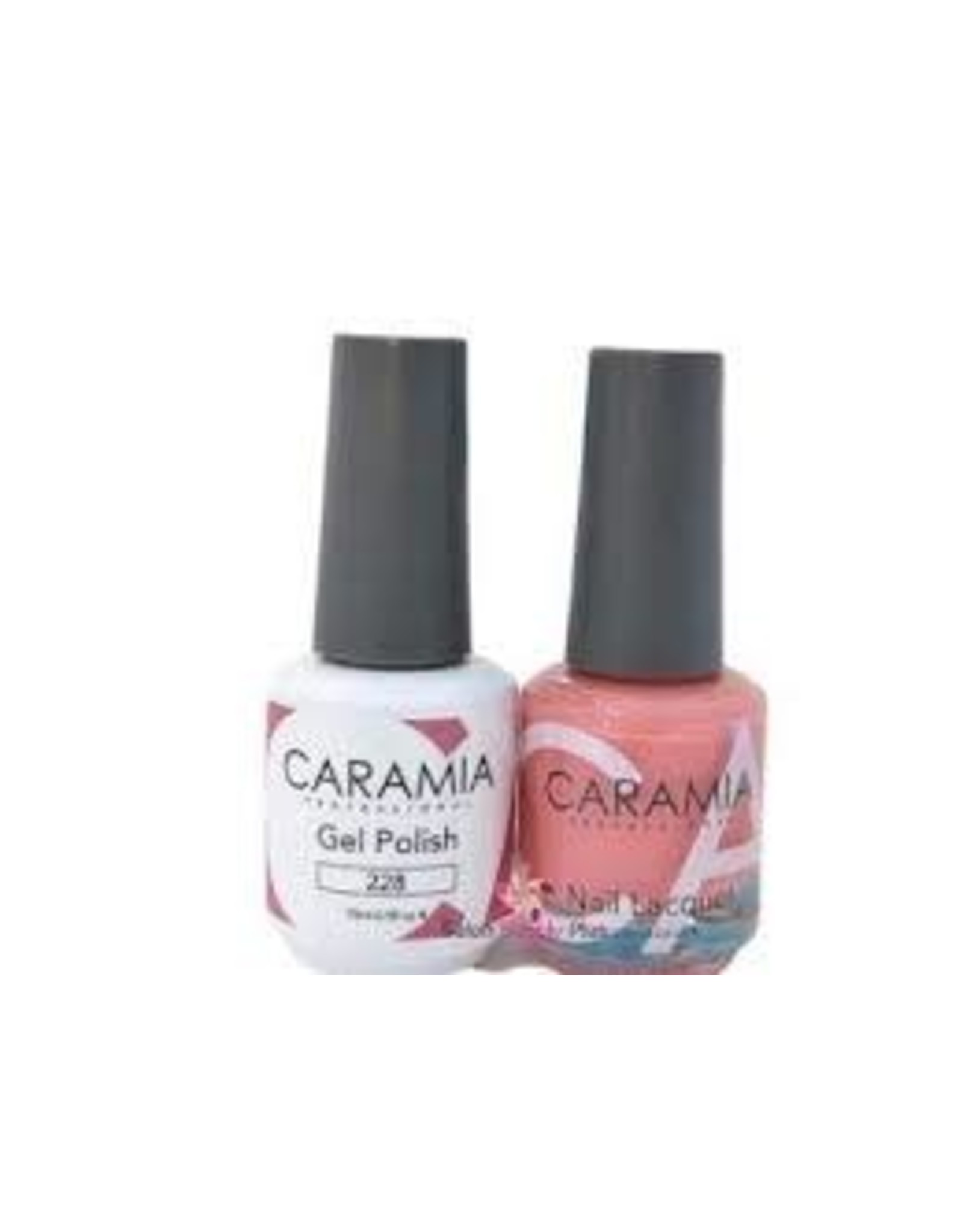 CARAMIA 228