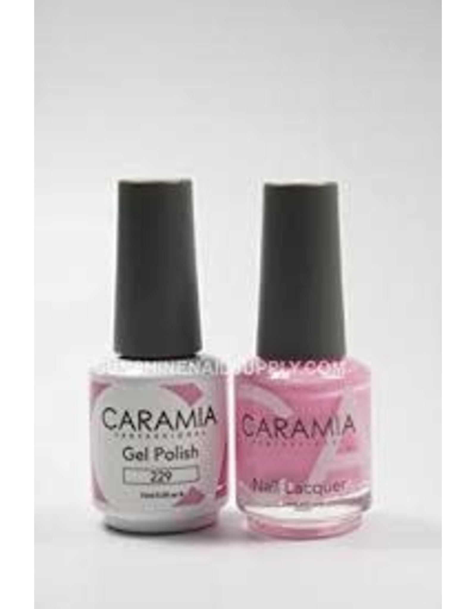 CARAMIA 229