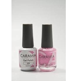 CARAMIA 229