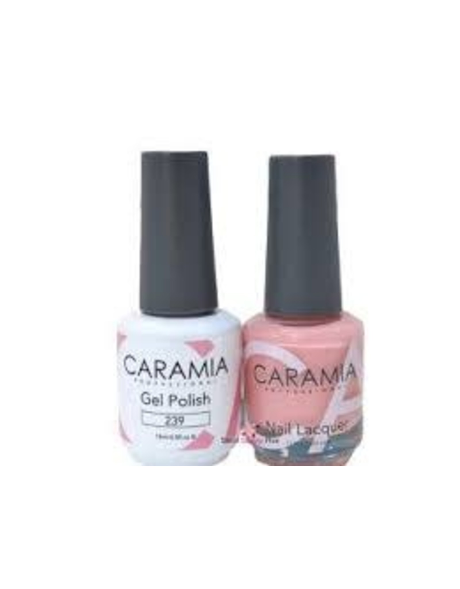 CARAMIA 239
