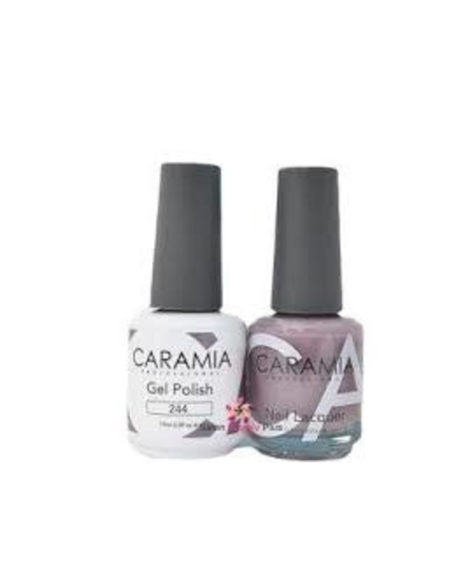 CARAMIA 244