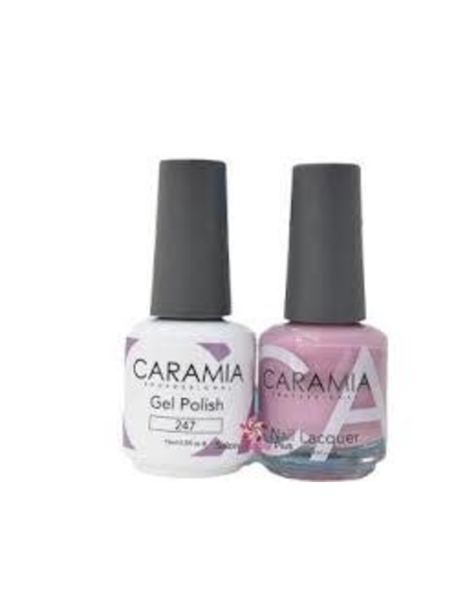 CARAMIA 247