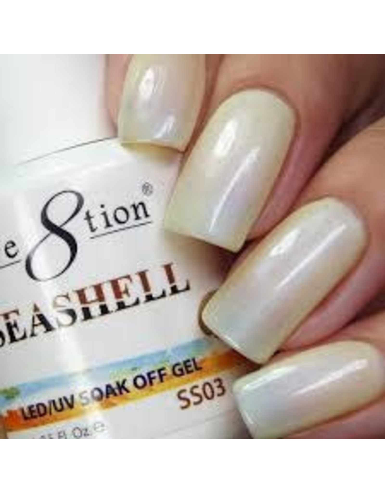 Gel Seashell 03