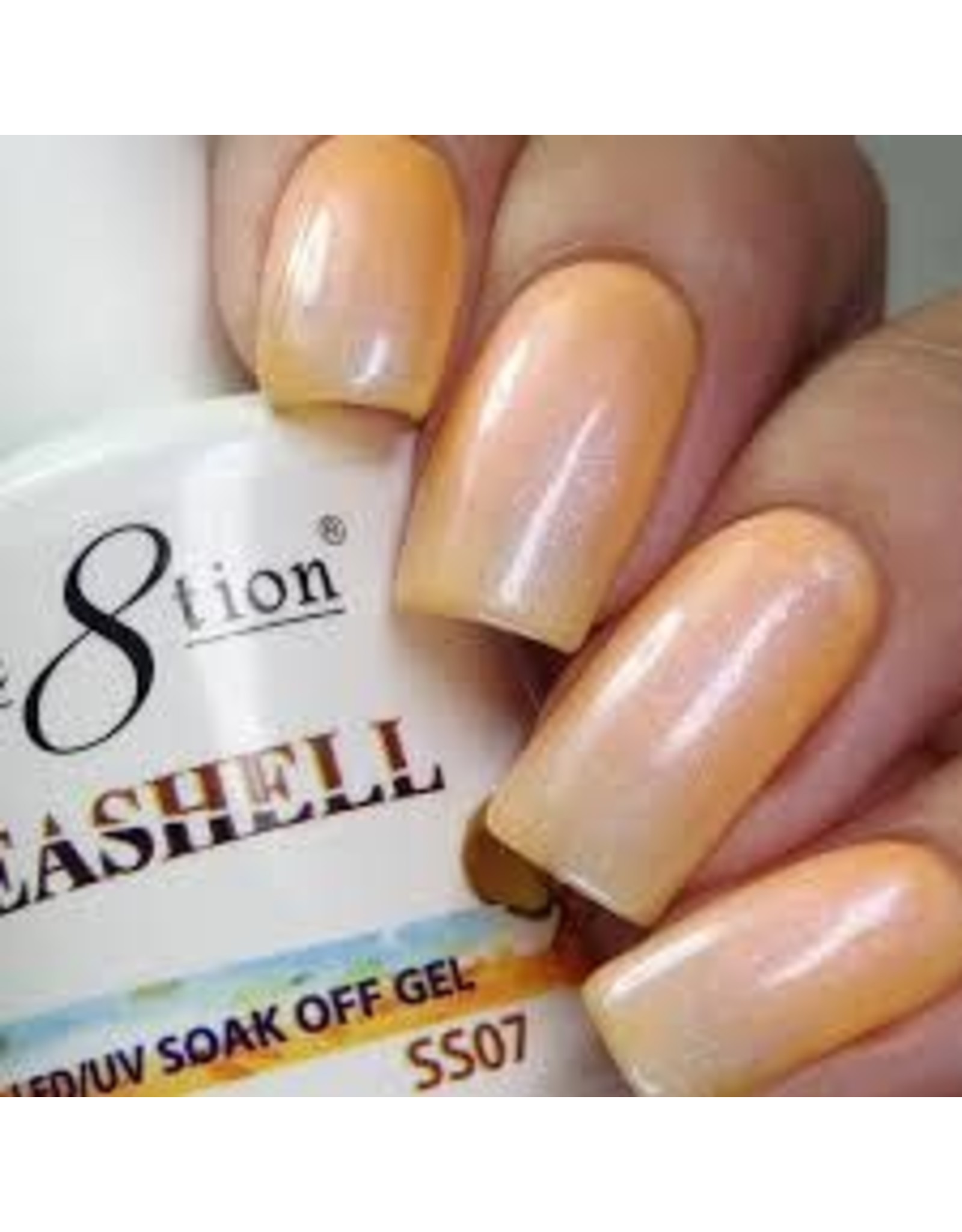 Gel Seashell 07