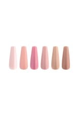 APRÈS Color Extend Gel In Bottle (Set of 6 )