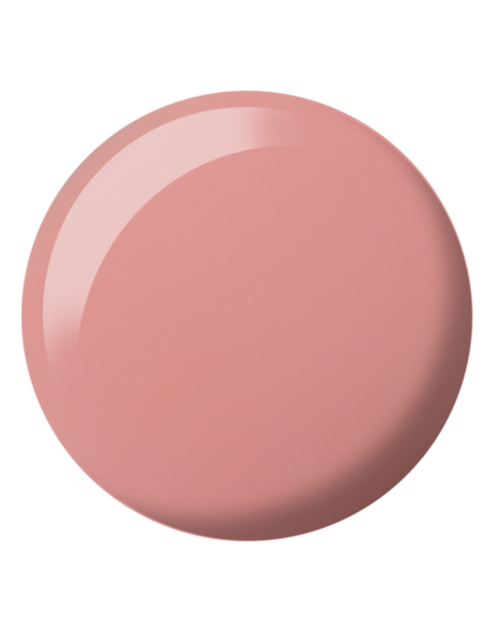 2446 Rose Palais