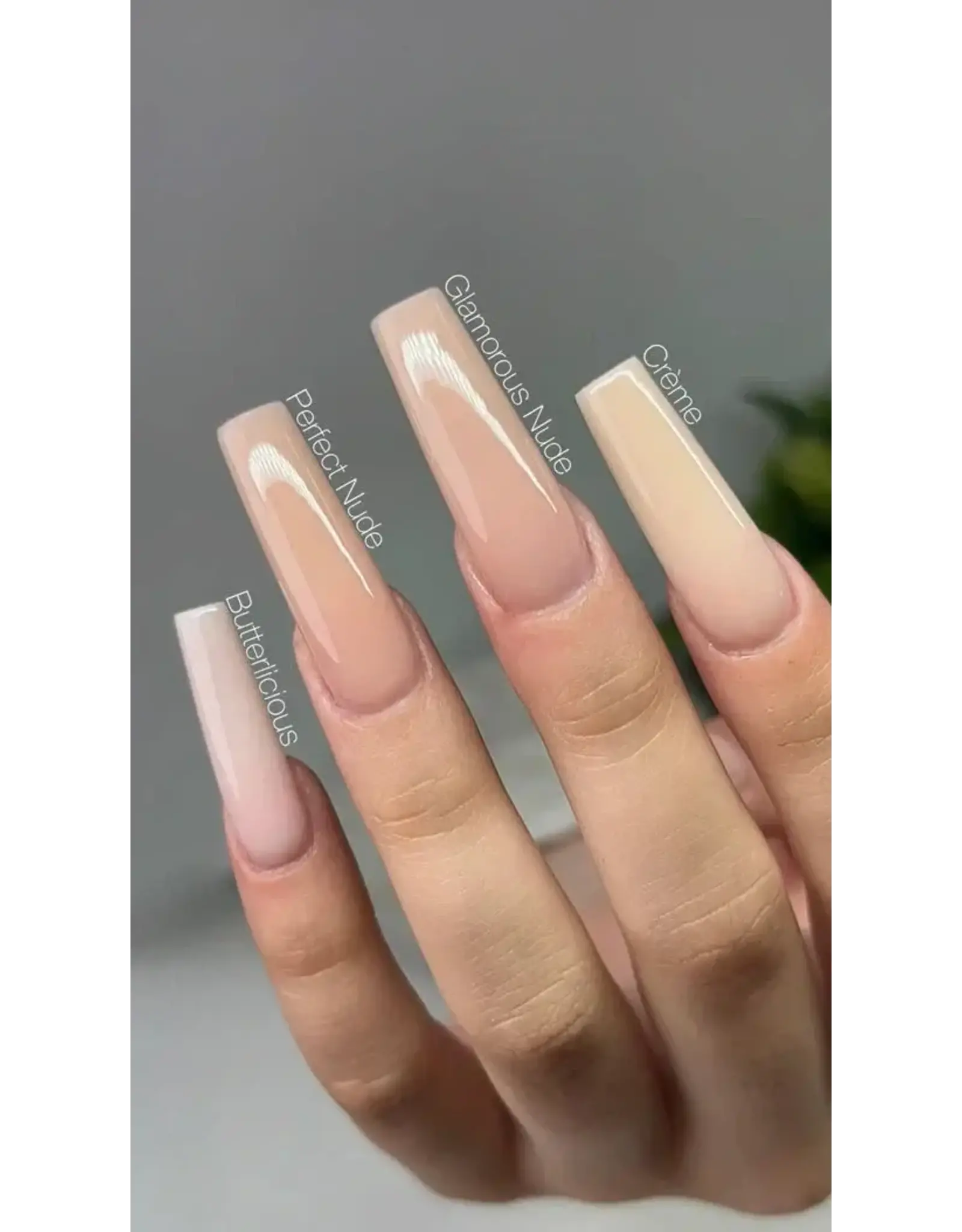 VALENTINO Acrylic System - Perfect Nude (3.5oz)
