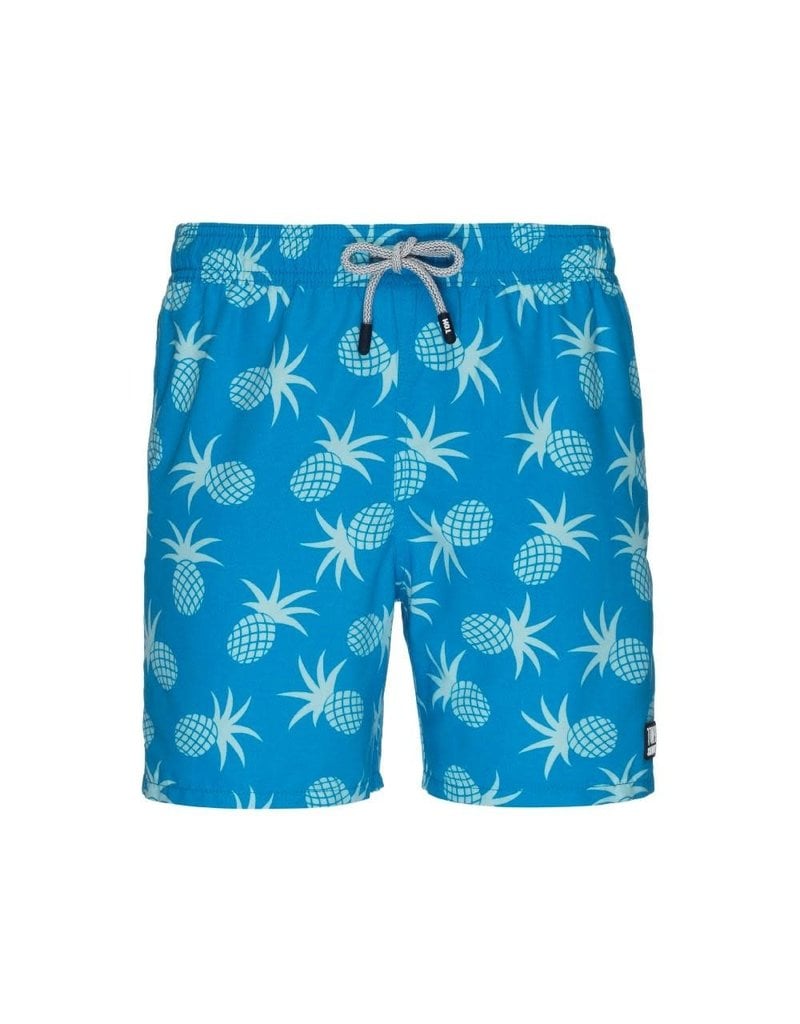 tom and teddy swim trunks