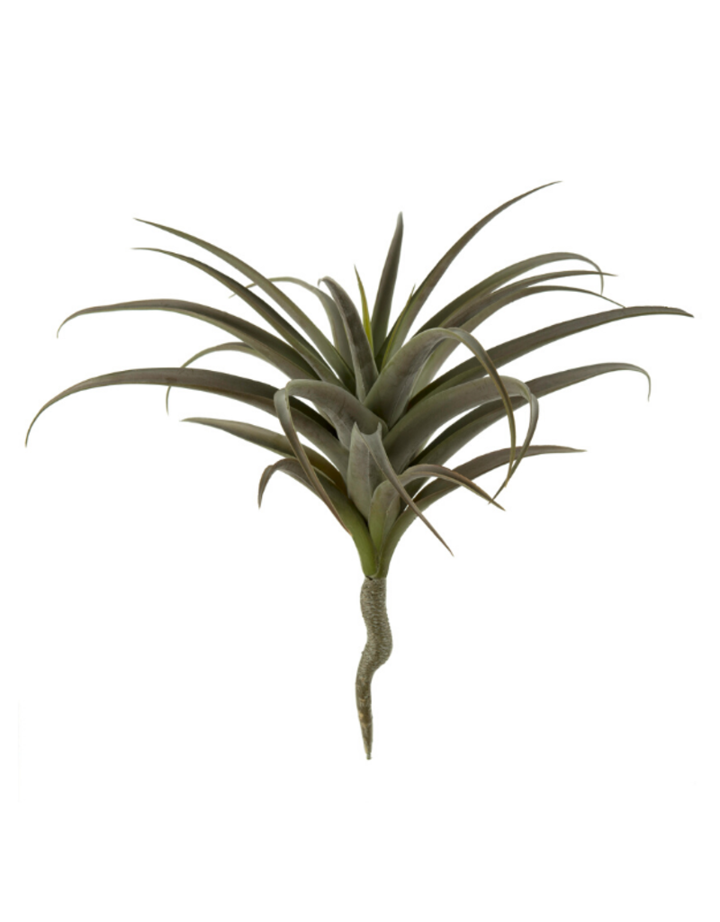 Indaba Trading Giant Air plant