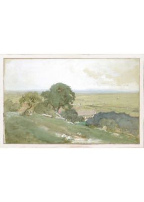Celadon Art Olive Trees at Trivoli 15"x9"