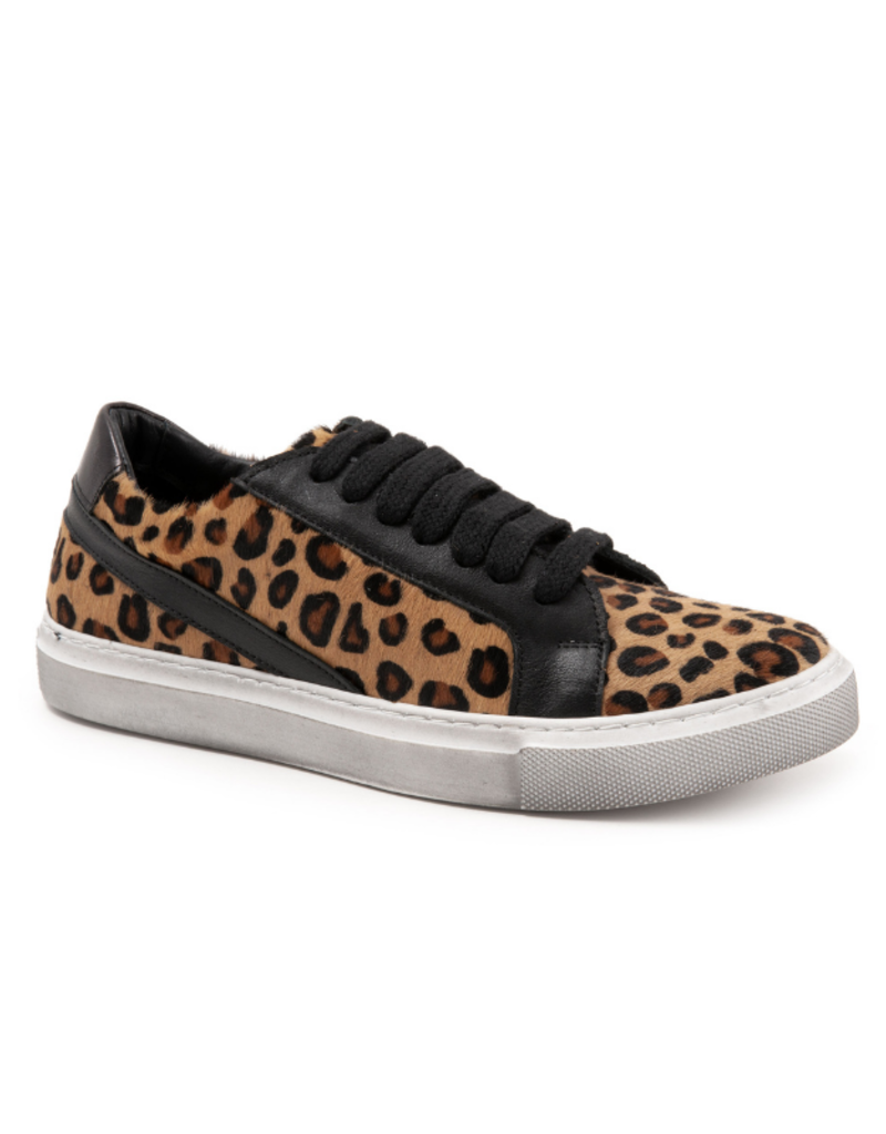 Bueno Rechelle Sneaker in Leopard Black by Bueno
