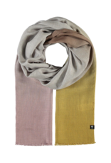 v. Fraas Fraas Gradient Modal Scarf