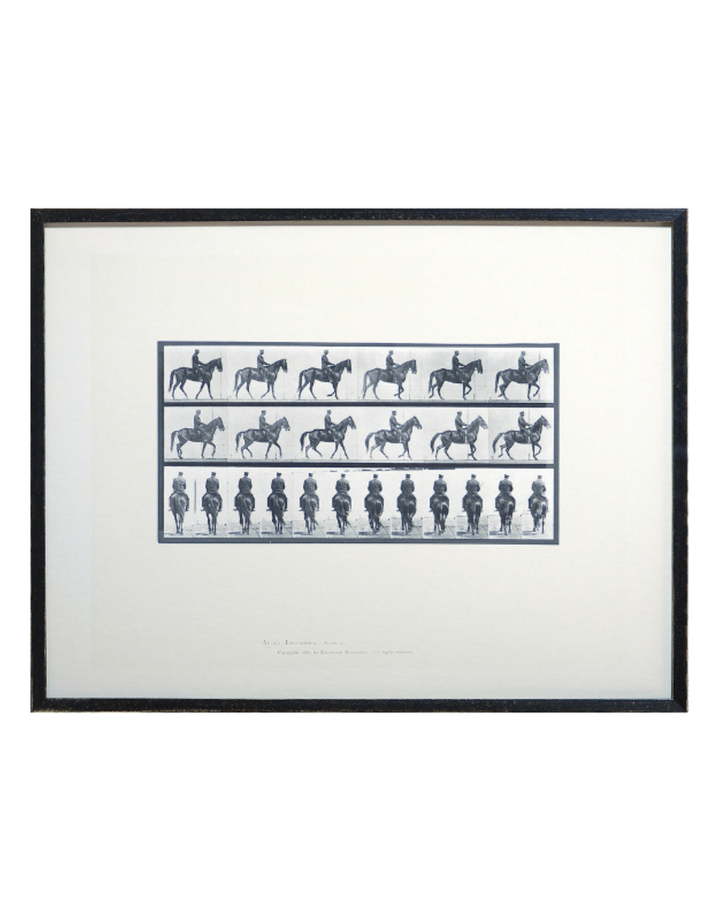 Celadon Art Horse & Rider I 27"x21"