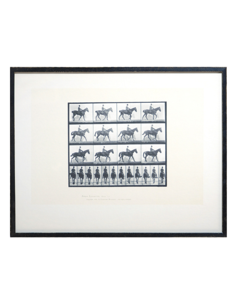 Celadon Art Horse & Rider II 27"x21"